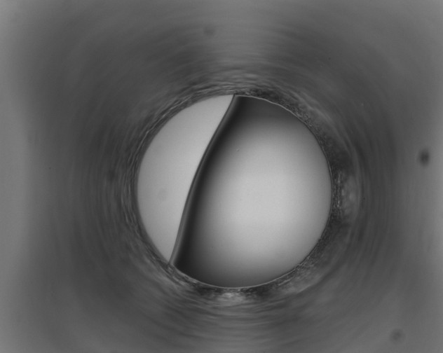 X0000097670562200802290948