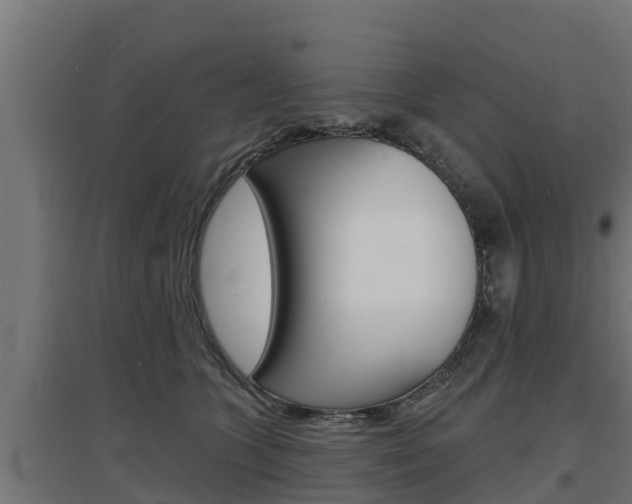 X0000097670563200802290948