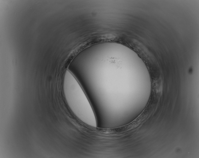 X0000097670564200802290948