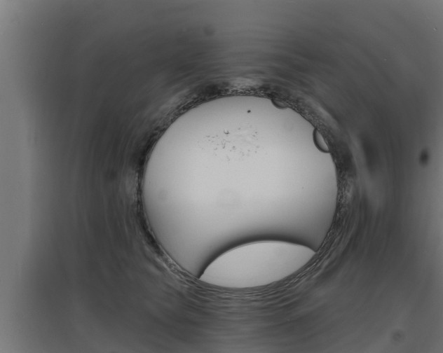 X0000097670565200802290948