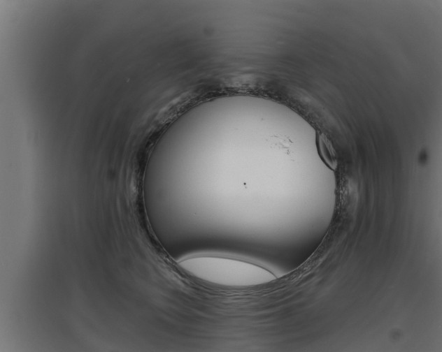 X0000097670566200802290949