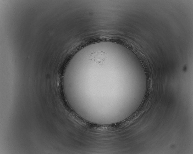 X0000097670567200802290949