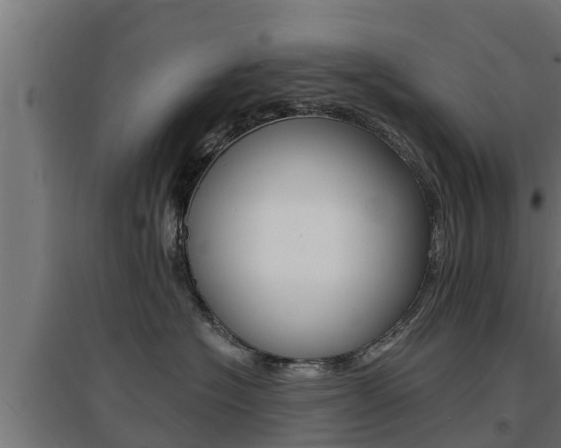 X0000097670574200802290949