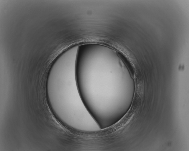 X0000097670577200802290948