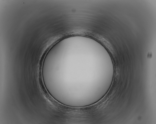 X0000097670578200802290948