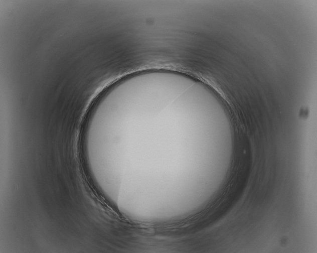 X0000097670579200802290948
