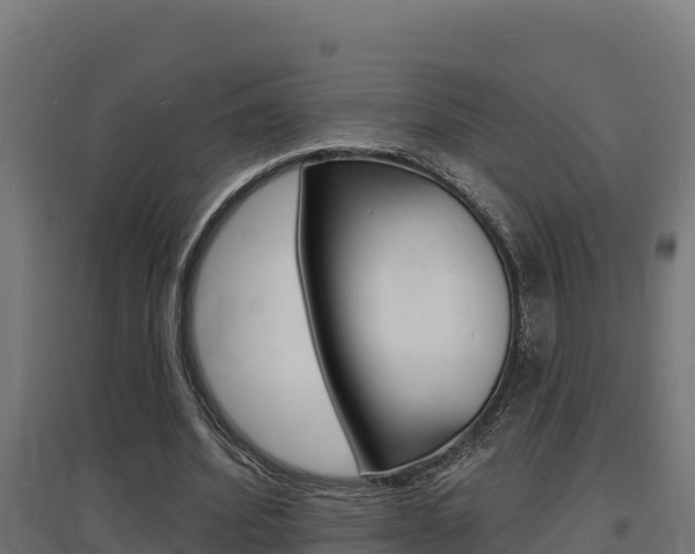 X0000097670580200802290948