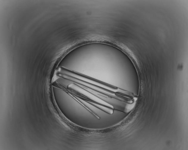 X0000097670581200802290948