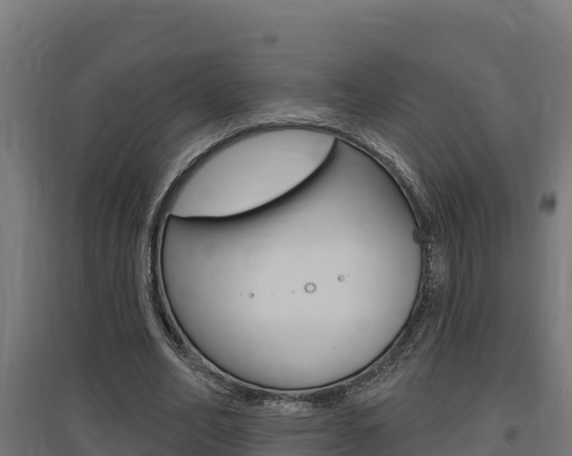 X0000097670582200802290948