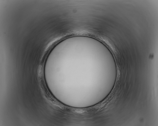X0000097670583200802290948