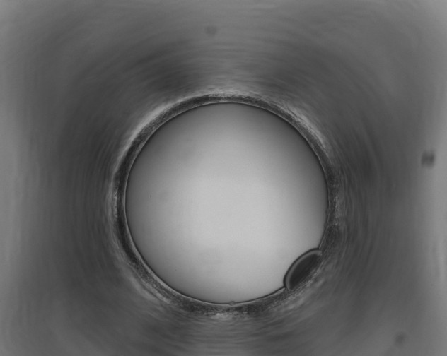 X0000097670584200802290948