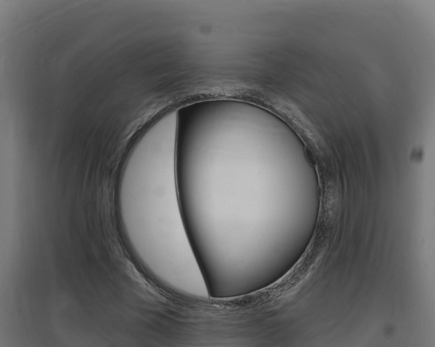 X0000097670585200802290948