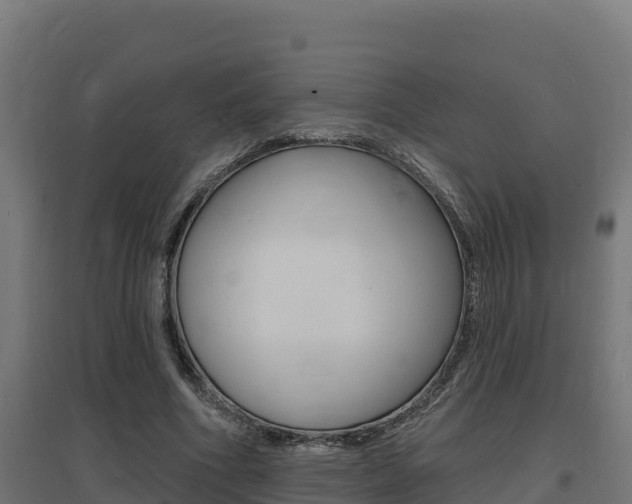 X0000097670586200802290948