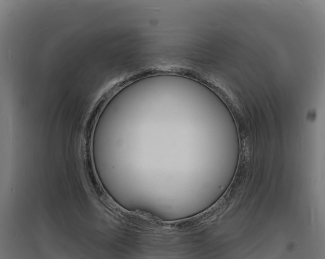 X0000097670587200802290948