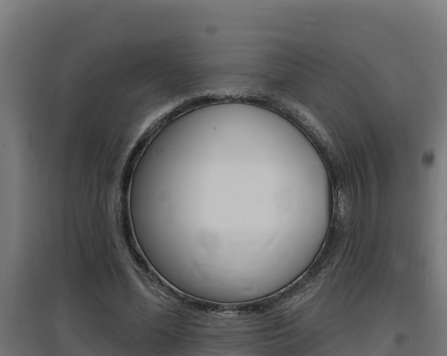 X0000097670588200802290948