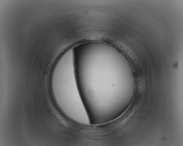 X0000097670589200802290948