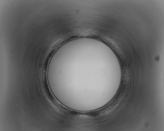 X0000097670590200802290948