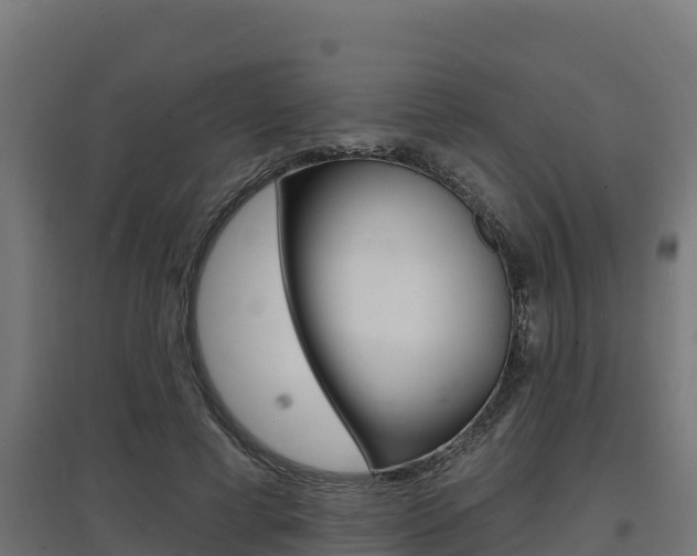 X0000097670593200802290948
