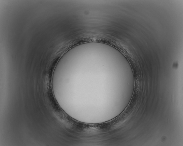 X0000097670594200802290948