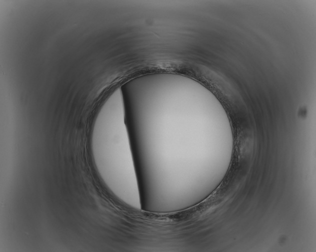 X0000097670595200802290948