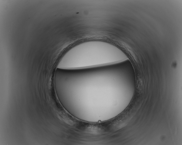 X0000097670596200802290948