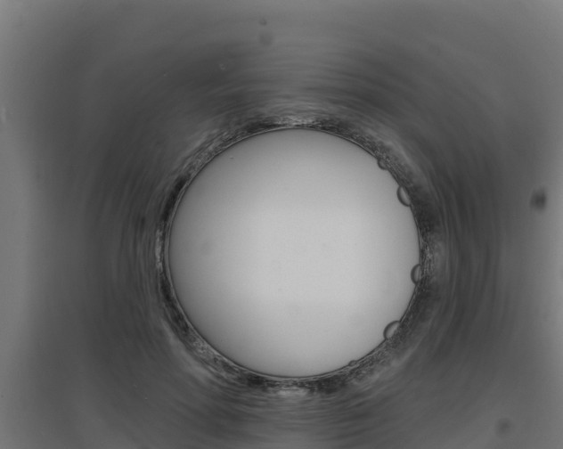 X0000097670598200802290948