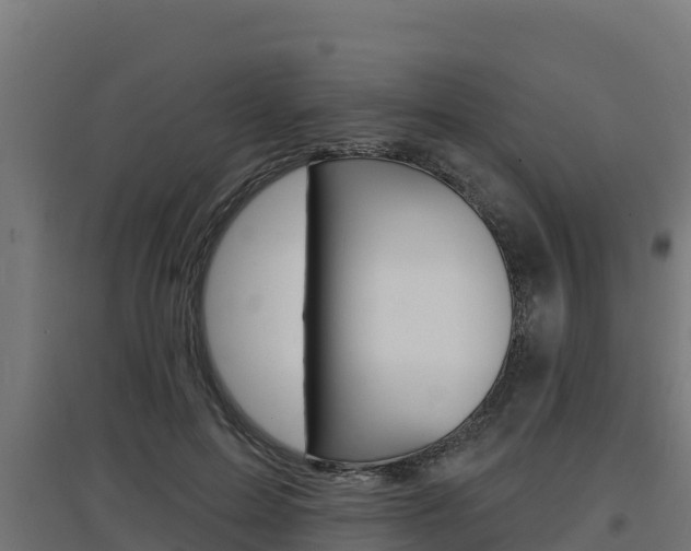 X0000097670599200802290948