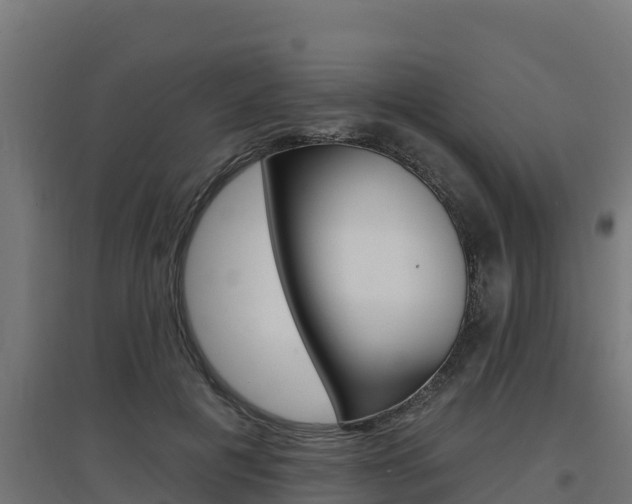 X0000097670601200802290948