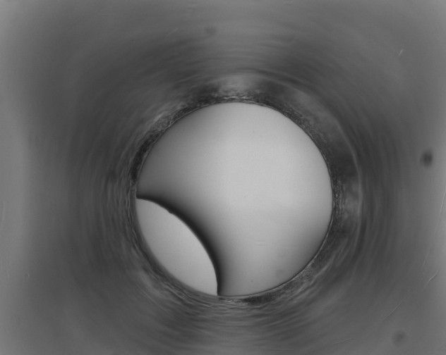 X0000097670603200802290947