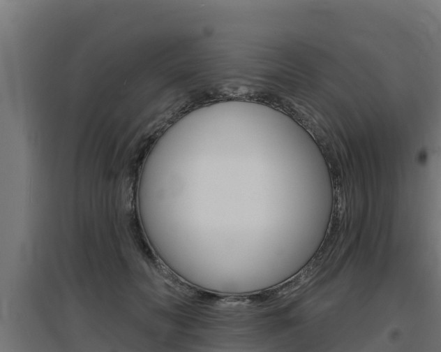 X0000097670606200802290947