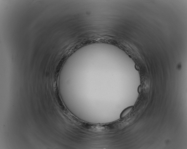 X0000097670607200802290947