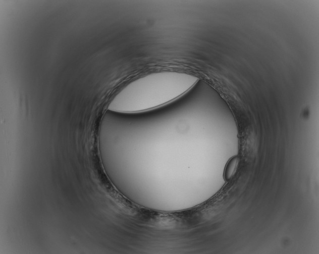 X0000097670608200802290947