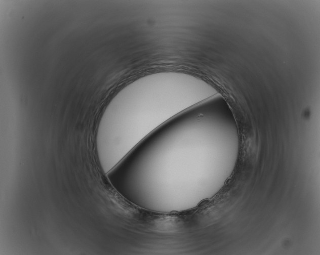 X0000097670609200802290947