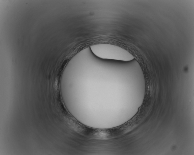 X0000097670610200802290947