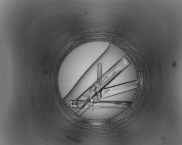 X0000097670611200802290947