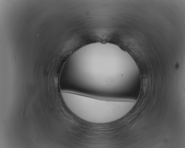 X0000097670613200802290947
