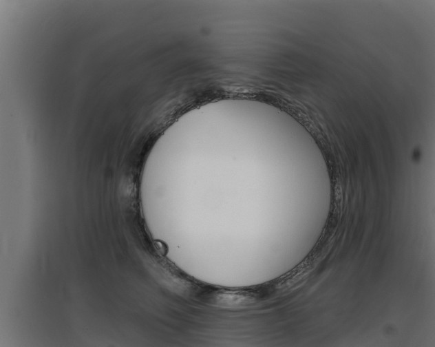 X0000097670614200802290947