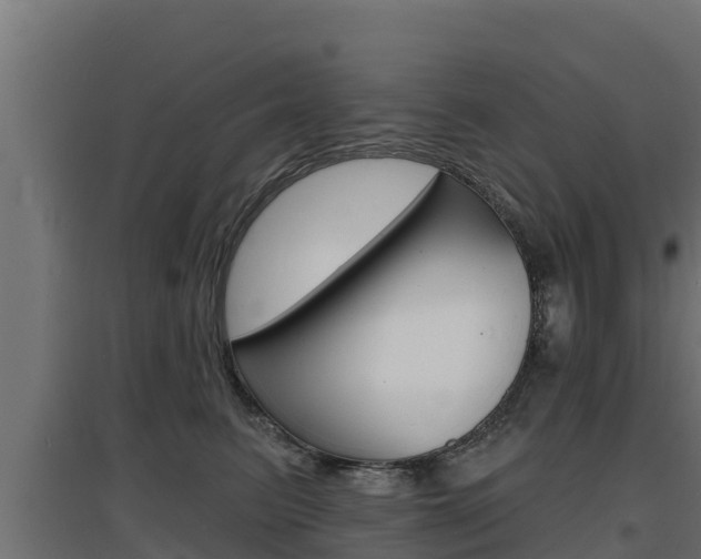 X0000097670615200802290947