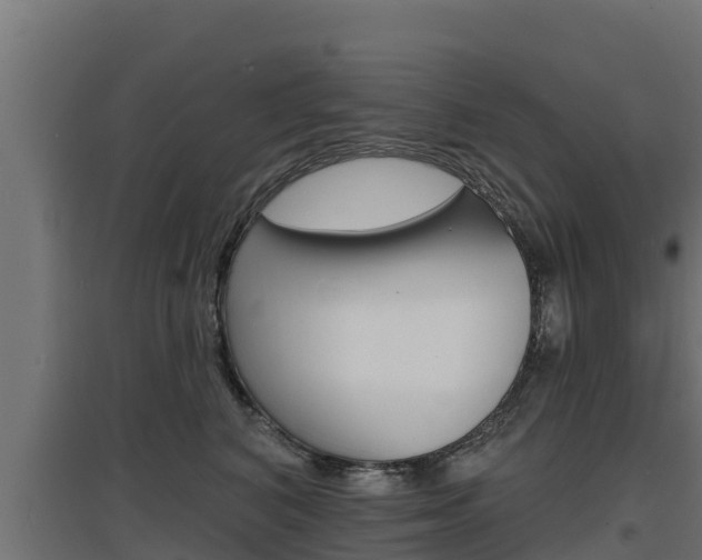 X0000097670616200802290947