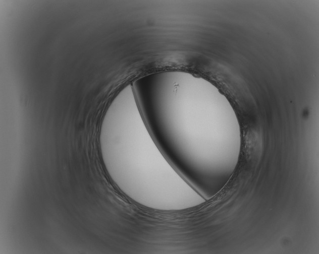 X0000097670617200802290947
