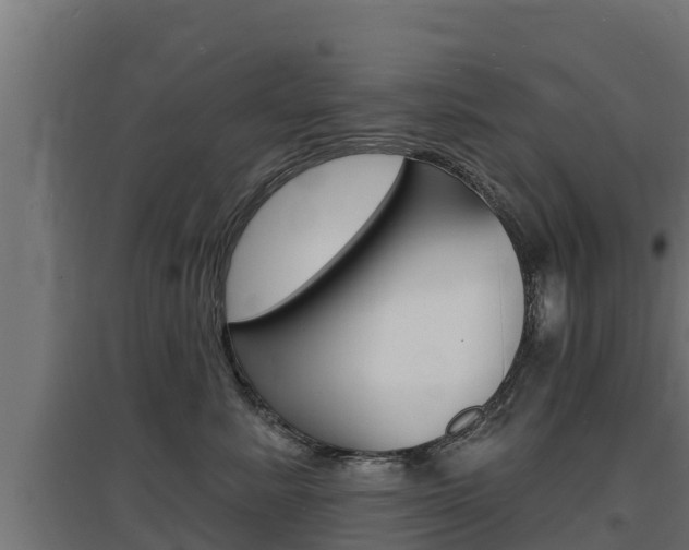 X0000097670619200802290947