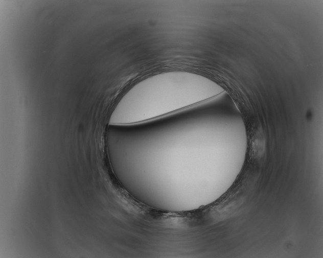 X0000097670620200802290947