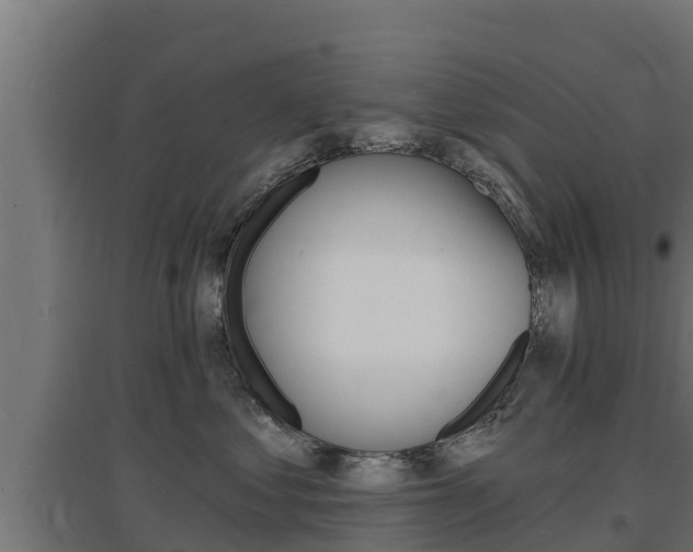 X0000097670621200802290947