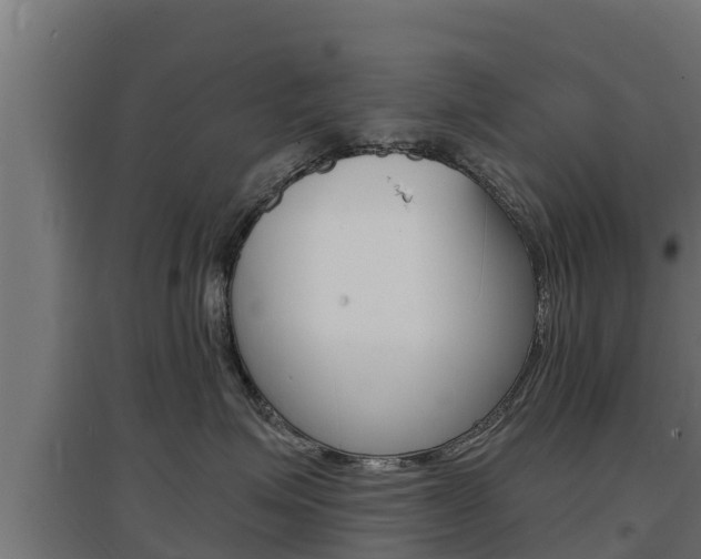 X0000097670623200802290947