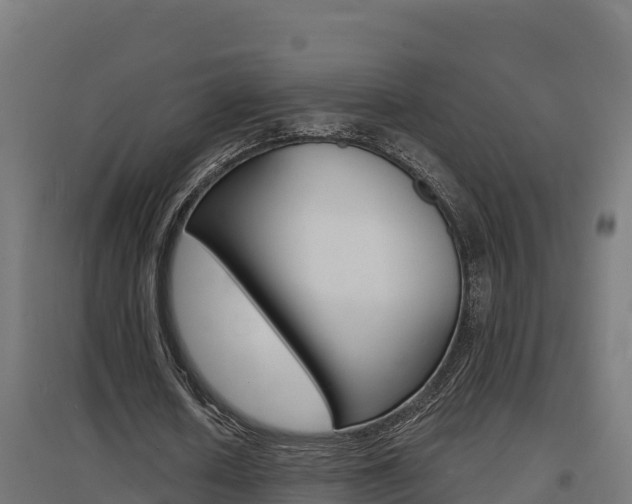 X0000097670626200802290946
