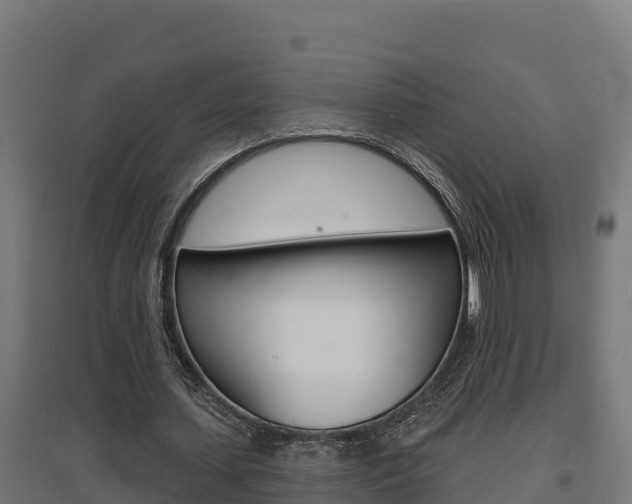 X0000097670627200802290946