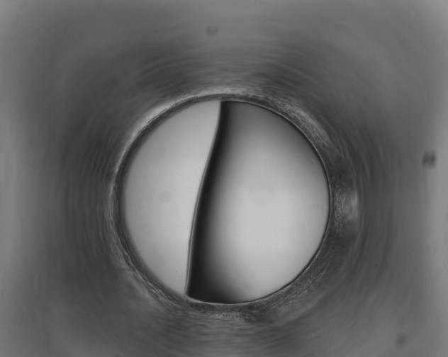 X0000097670628200802290946