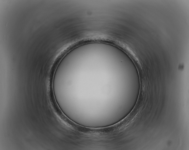 X0000097670629200802290946