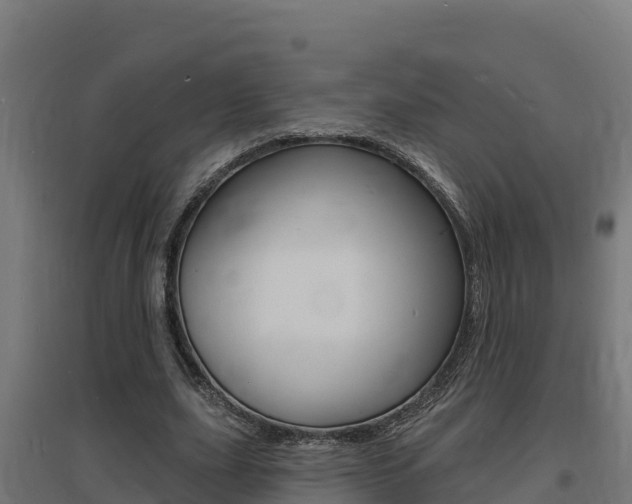 X0000097670631200802290946