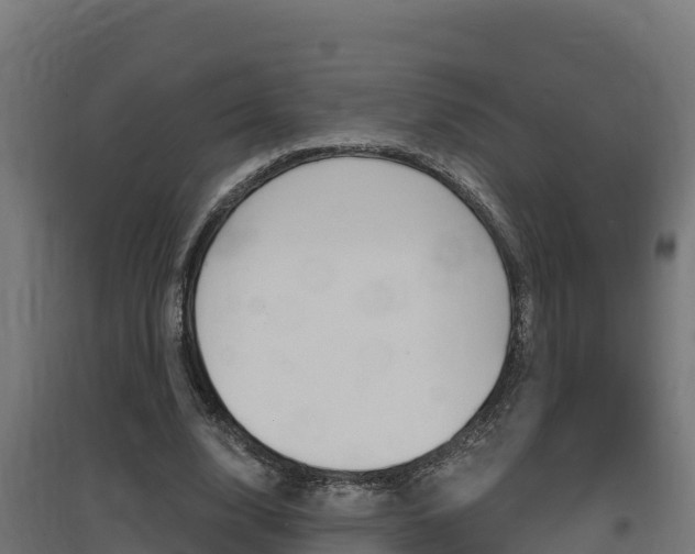 X0000097670632200802290946